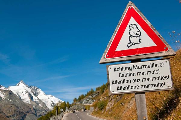 Edelweißhütte auf der Edelweißspitze (Großglockner Hochalpenstraße) – Bild 2 vergrößern