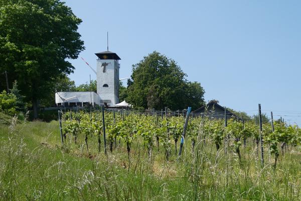 Turmlokal Kloppberg – Bild 2 vergrößern