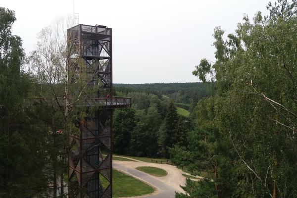 Baumwipfelpfad Anykščiai (Anykščių šilelio medžių lajų takas) – Bild 2 vergrößern