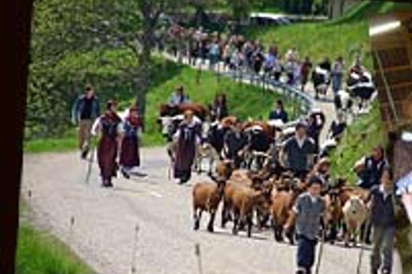 Ferme-Auberge du Grand Ballon – Bild 1 vergrößern