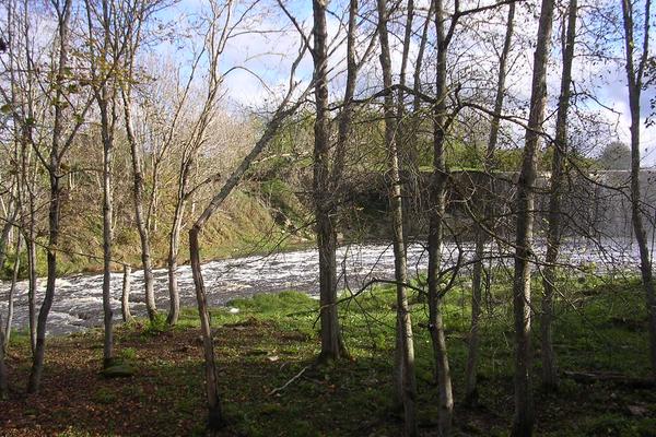 Jägala-Wasserfall (Jägala juga) – Bild 3 vergrößern