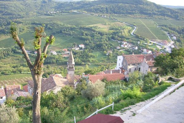 Motovun (Motovun / Montona) – Bild 1 vergrößern