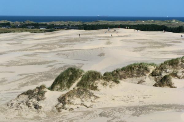 Wanderdüne Råbjerg Mile (Råbjerg Mile) – Bild 2 vergrößern