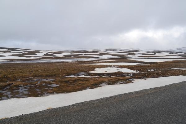 Fjarðarheiði-Pass (Fjarðarheiði, Route 93) – Bild 1 vergrößern