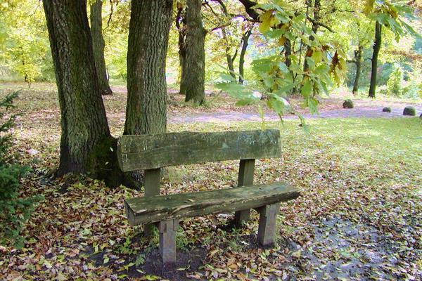 Dobogókő (Dobogókő, Pilis-Gebirge) – Bild 2 vergrößern