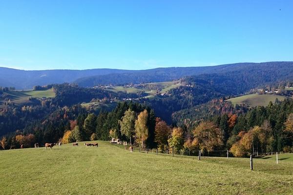 Rogla (Rogla, Pohorje) – Bild 2 vergrößern