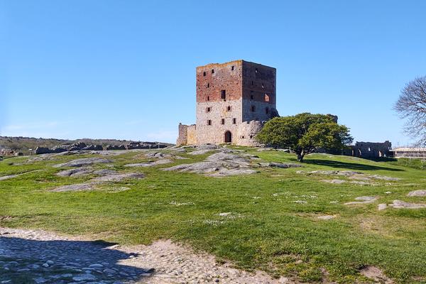 Burgruine Hammershus (Hammershus, Bornholm) – Bild 1 vergrößern