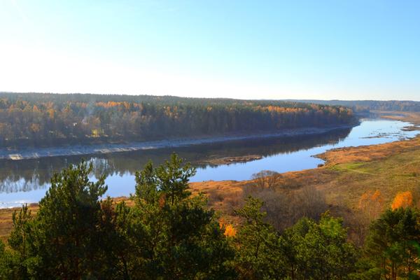 Daugava-Bögen mit Aussichtsturm Vasargelišķi (Dabas parks Daugavas loki) – Bild 1 vergrößern