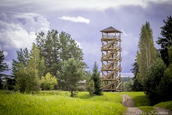 Daugava-Bögen mit Aussichtsturm Vasargelišķi (Dabas parks Daugavas loki) – Bild 2 vergrößern