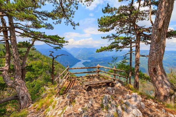 Nationalpark Tara (Nacionalni park Tara / Национални парк Тара) – Bild 1 vergrößern