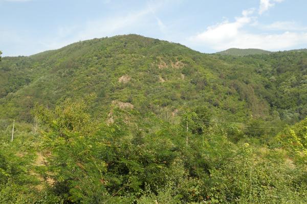 Iskar-Schlucht (Iskarski prolom / Искърски пролом, II-16) – Bild 1 vergrößern