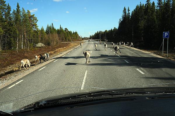 Silberstraße (Silvervägen, Riksväg 95) – Bild 1 vergrößern
