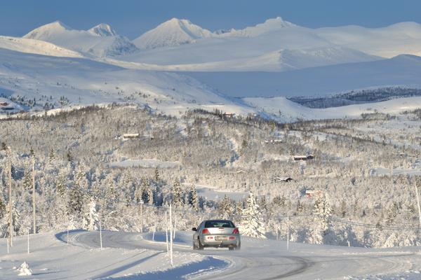 Nationale Touristenstraße Rondane (Nasjonal turistveg Rondane, Fv 27) – Bild 2 vergrößern