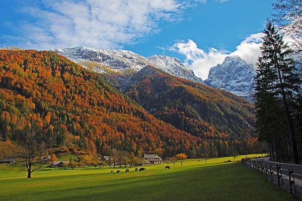 Logartal (Logarska dolina) – Bild 1 vergrößern