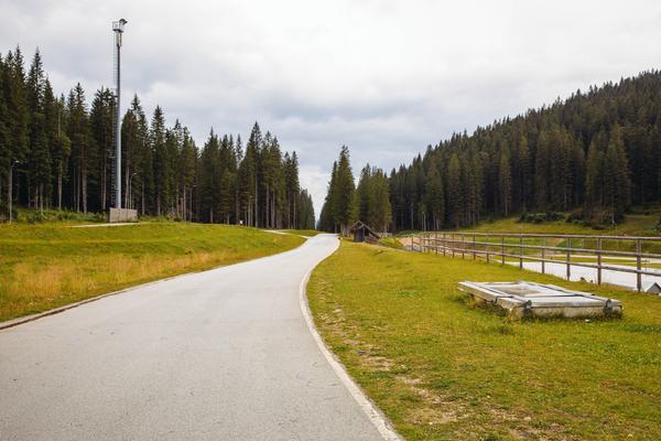 Pokljuka (Pokljuka, Krnica–Jereka) – Bild 1 vergrößern