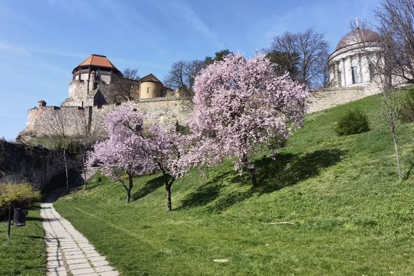 Basilika von Esztergom (Esztergomi bazilika) – Bild 2 vergrößern
