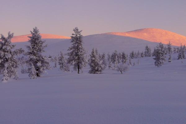 Pallastunturi (Pallastunturi, Pallastunturintie) – Bild 1 vergrößern