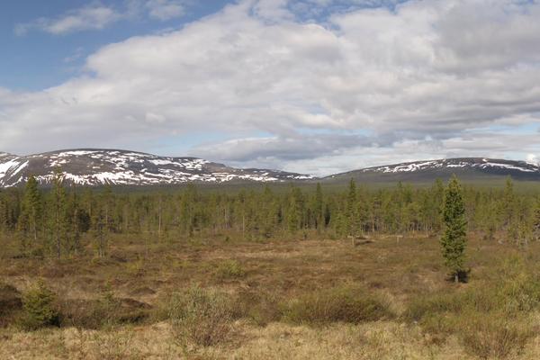 Pallastunturi (Pallastunturi, Pallastunturintie) – Bild 2 vergrößern