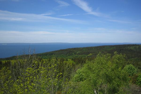 Omberg am Vättern (Omberg) – Bild 2 vergrößern