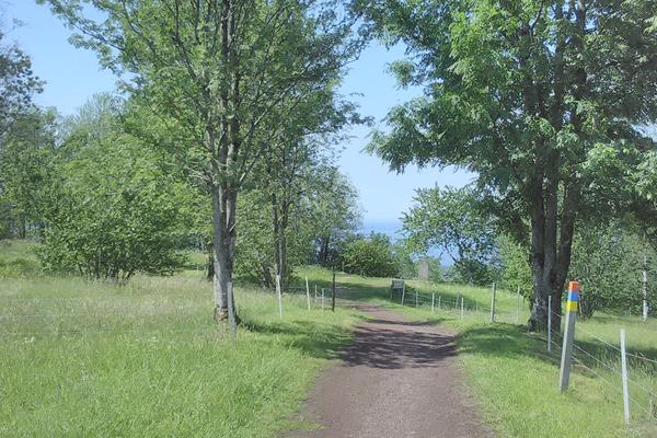 Kinnekulle mit Aussichtsturm (Kinnekulle, Högkullen) – Bild 2 vergrößern
