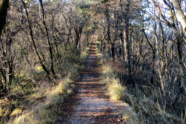 Sveta Gora (Heiliger Berg / Monte Santo, Skalniška cesta) – Bild 3 vergrößern