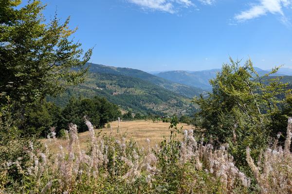 Trešnjevik-Pass (Prevoj Trešnjevik / Превој Трешњевик, R-19) – Bild 1 vergrößern