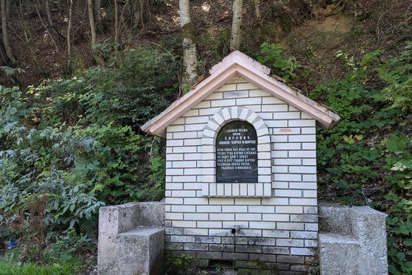 Trešnjevik-Pass (Prevoj Trešnjevik / Превој Трешњевик, R-19) – Bild 2 vergrößern