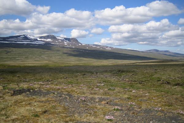 Holtavörðuheiði-Pass (Holtavörðuheiði, Hringvegur 1) – Bild 2 vergrößern