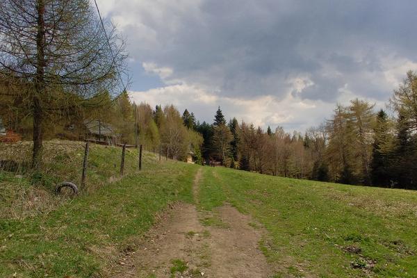 Kocierska-Pass (Przełęcz Kocierska, DW 781) – Bild 1 vergrößern