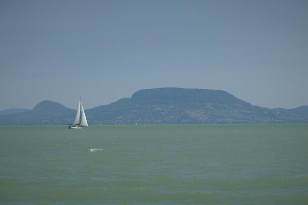 Badacsony (Badacsony, Balaton) – Bild 2 vergrößern