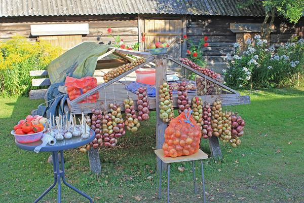 Zwiebelstraße am Peipussee (Sibulatee) – Bild 3 vergrößern