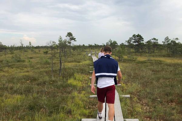 Großes Ķemeri-Moor mit Bohlenweg (Lielais Ķemeru tīrelis, Ķemeru purva laipa) – Bild 3 vergrößern