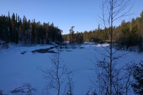 Stromschnelle Kiutaköngäs (Kiutaköngäs, Oulanka-Nationalpark) – Bild 1 vergrößern