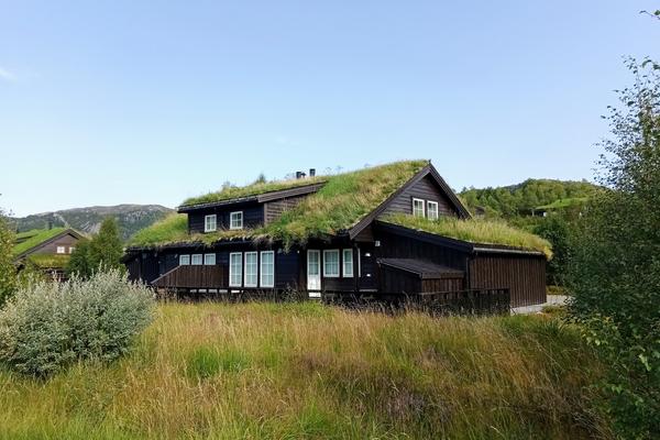 Suleskarstraße (Suleskarvegen, Fv 450) – Bild 2 vergrößern
