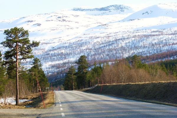 Saltfjellet mit Polarkreiszentrum (Saltfjellet / Polarsirkelsenteret, E6) – Bild 2 vergrößern