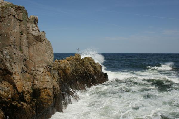 Helligdomsklipperne (Helligdomsklipperne, Bornholm) – Bild 2 vergrößern
