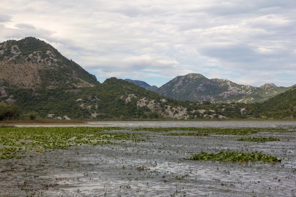 Panoramastraße am Skutarisee (Virpazar–Ostros, R-15) – Bild 3 vergrößern