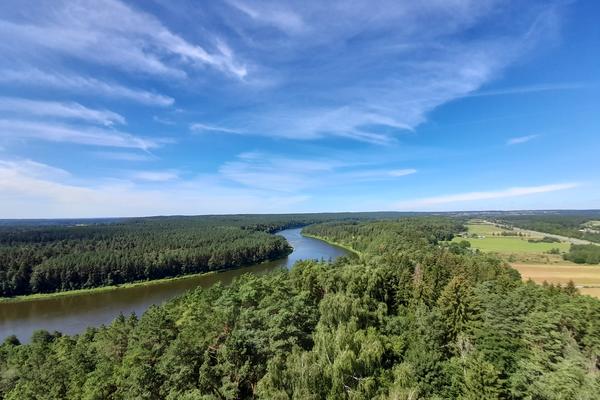 Aussichtsturm Birštonas an den Memelschleifen (Birštono apžvalgos bokštas) – Bild 3 vergrößern