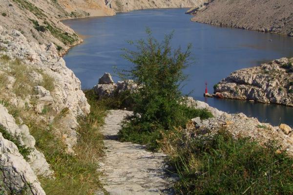 Maslenica-Brücke (Maslenički most, D8) – Bild 3 vergrößern