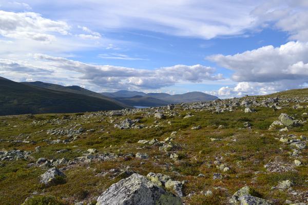Grövelsjön (Grövelsjön, Grövelsjövägen) – Bild 3 vergrößern