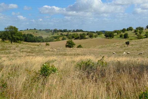 Nationalpark Mols Bjerge (Nationalpark Mols Bjerge, Agri Bavnehøj) – Bild 2 vergrößern