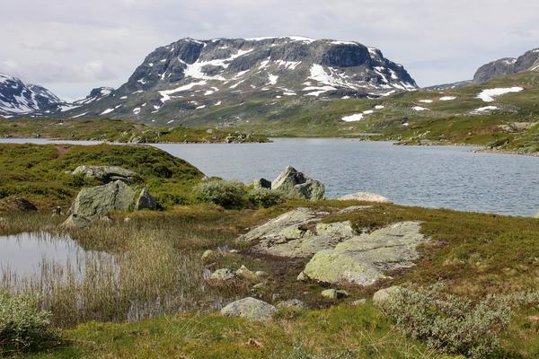 Haukelifjell (Haukelivegen, E134) – Bild 2 vergrößern