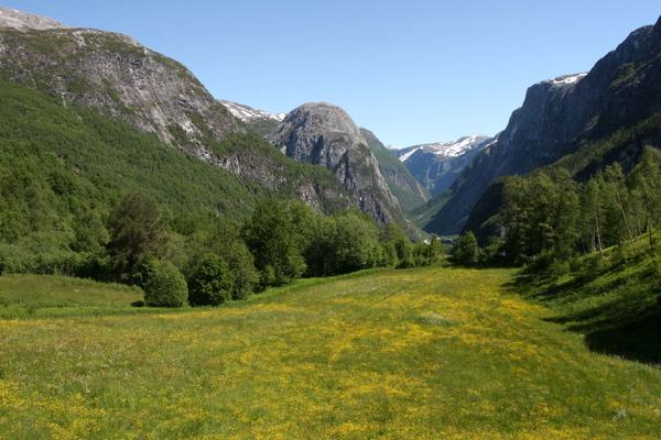 Stalheim mit Blick ins Nærøydalen (Stalheim, E16) – Bild 3 vergrößern