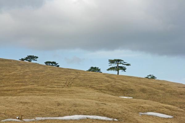 Zlatibor-Hochland (Златибор / Zlatibor, E763) – Bild 3 vergrößern