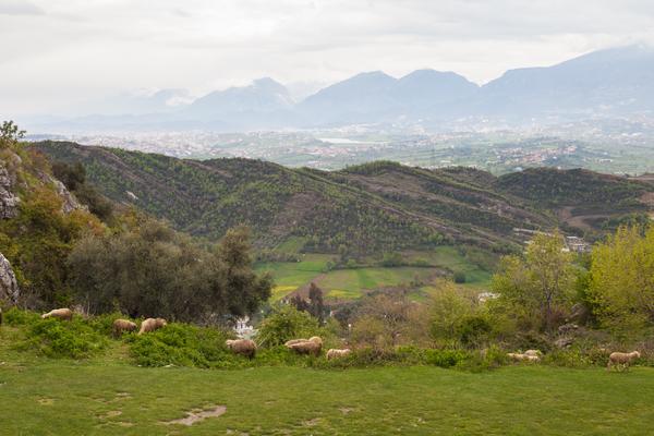 Burg Petrela (Kalaja e Petrelës, SH3) – Bild 2 vergrößern