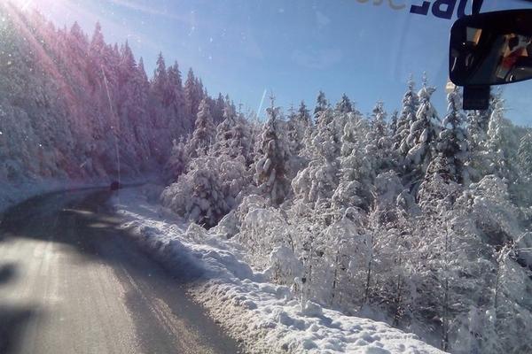 Jahorina (Јахорина / Jahorina) – Bild 3 vergrößern