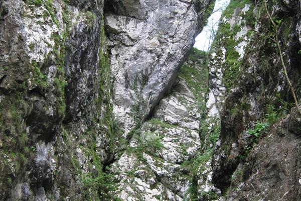 Tolminer Klammen (Tolminska korita) – Bild 1 vergrößern