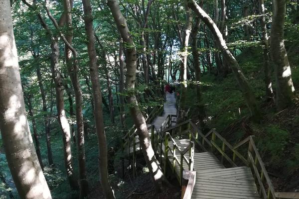 Møns Klint (Møns Klint) – Bild 3 vergrößern