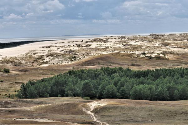 Kurische Nehrung (Kuršių nerija, KK 167) – Bild 2 vergrößern