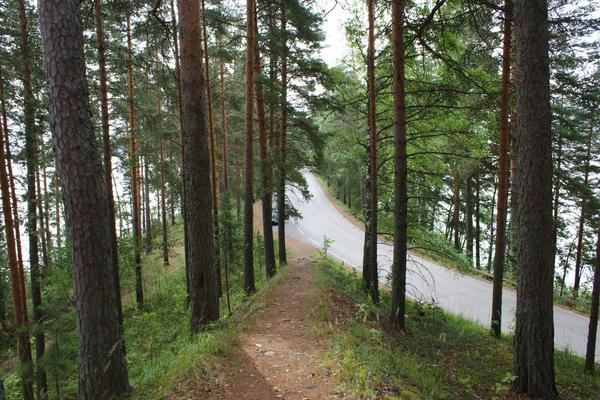 Punkaharju-Os (Punkaharjun Harjutie, Tie 4792) – Bild 2 vergrößern